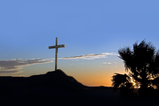 Jose Eduardo De Oliveira e Silva apresenta os dogmas marianos e sua importância como fundamentos que iluminam e fortalecem a vida cristã.