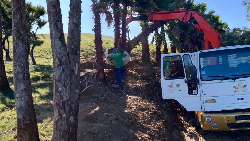 Entenda o que é caminhão Munck e em quais situações o serviço é ideal para sua necessidade, segundo Altevir Seidel.