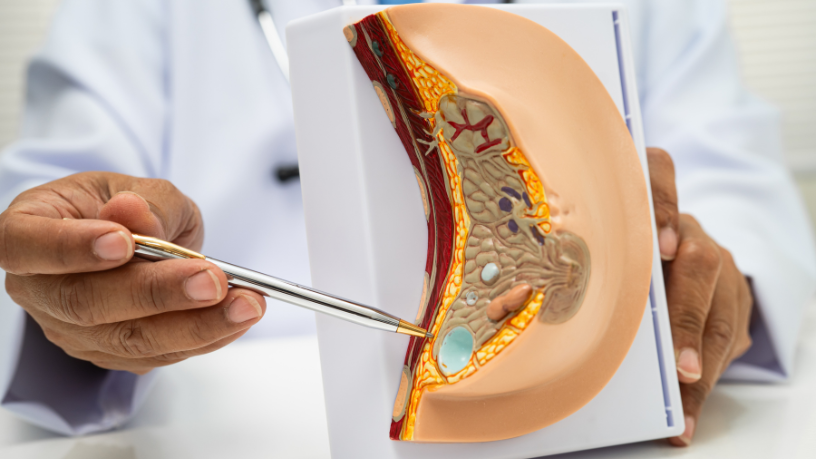 Vinicius Tadeu Sattin Rodrigues